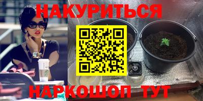 прущие грибы Будённовск