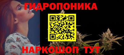 прущие грибы Будённовск
