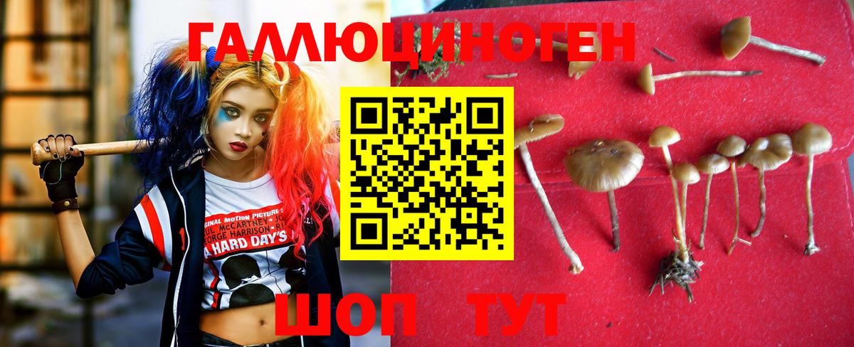Псилоцибиновые грибы Cubensis  Галлюциногенные грибы мухоморы  Павлово  сколько стоит  Вход с VPN 